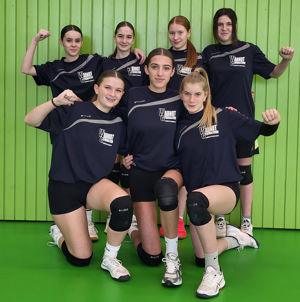 Volleyballerinnen Des Warndt Gymnasiums Zum Landesfinale Qualifiziert