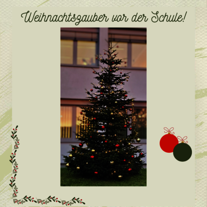 241125_Weihnachtsbaum_Bild_1