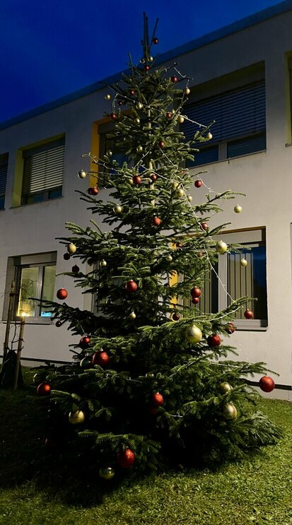 241125_Weihnachtsbaum_Bild_4
