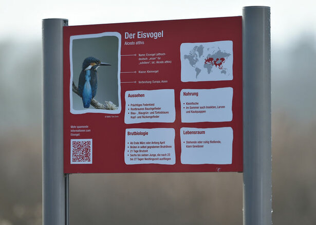 20220523_eisvogelpfad_03