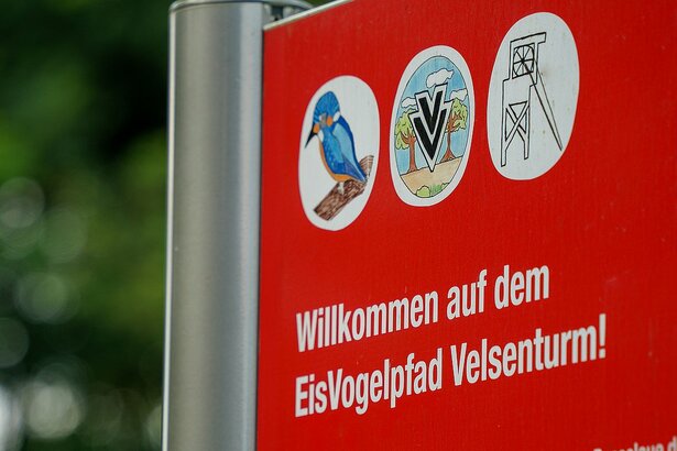 20220523_eisvogelpfad_01