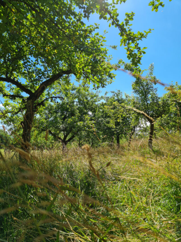 20220712_Biosphaerentag_03