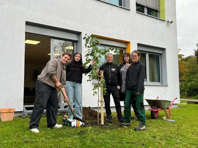 241011_Gingkopflanzung_Bild1