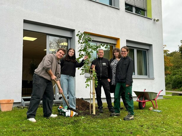 241011_Gingkopflanzung_Bild1