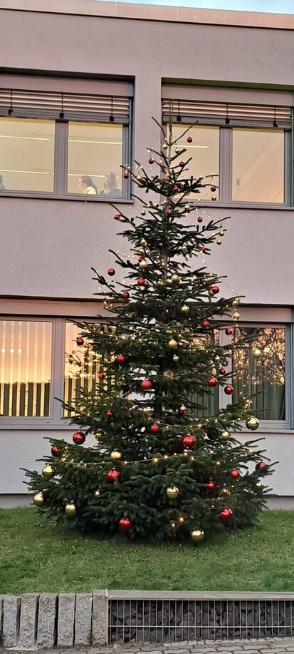 241125_Weihnachtsbaum_Bild_1